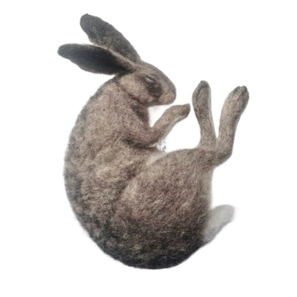 a stuffed rabbit on a white background