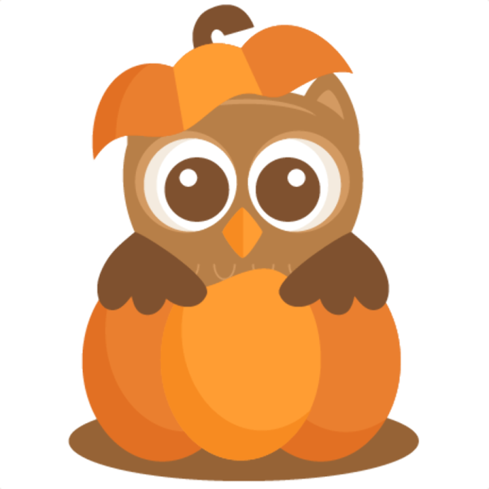 an owl sitting on top of a pumpkin