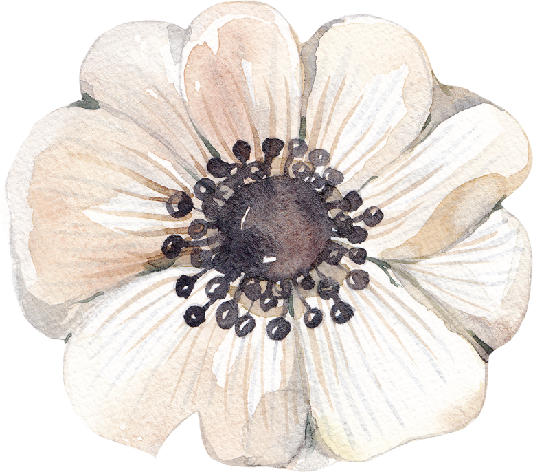 a watercolor painting of a white flower