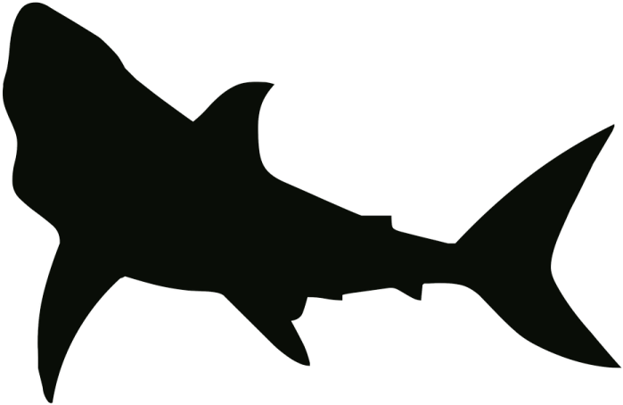 a black and white silhouette of a shark