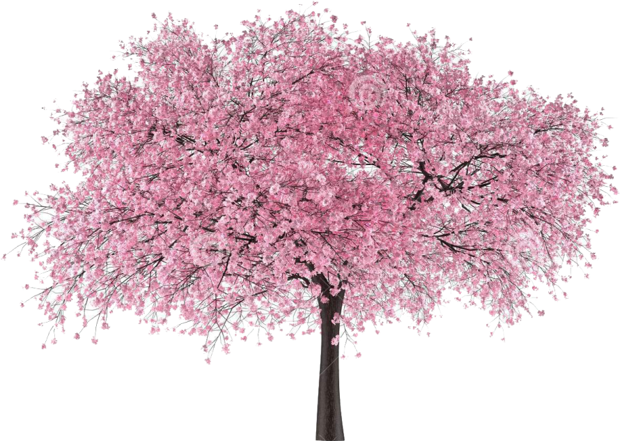 a tree with pink flowers on it