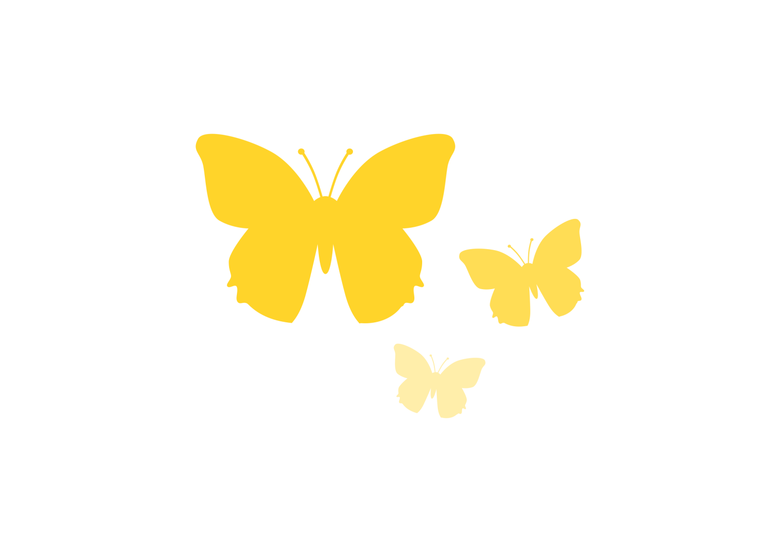 two butterflies on a white background