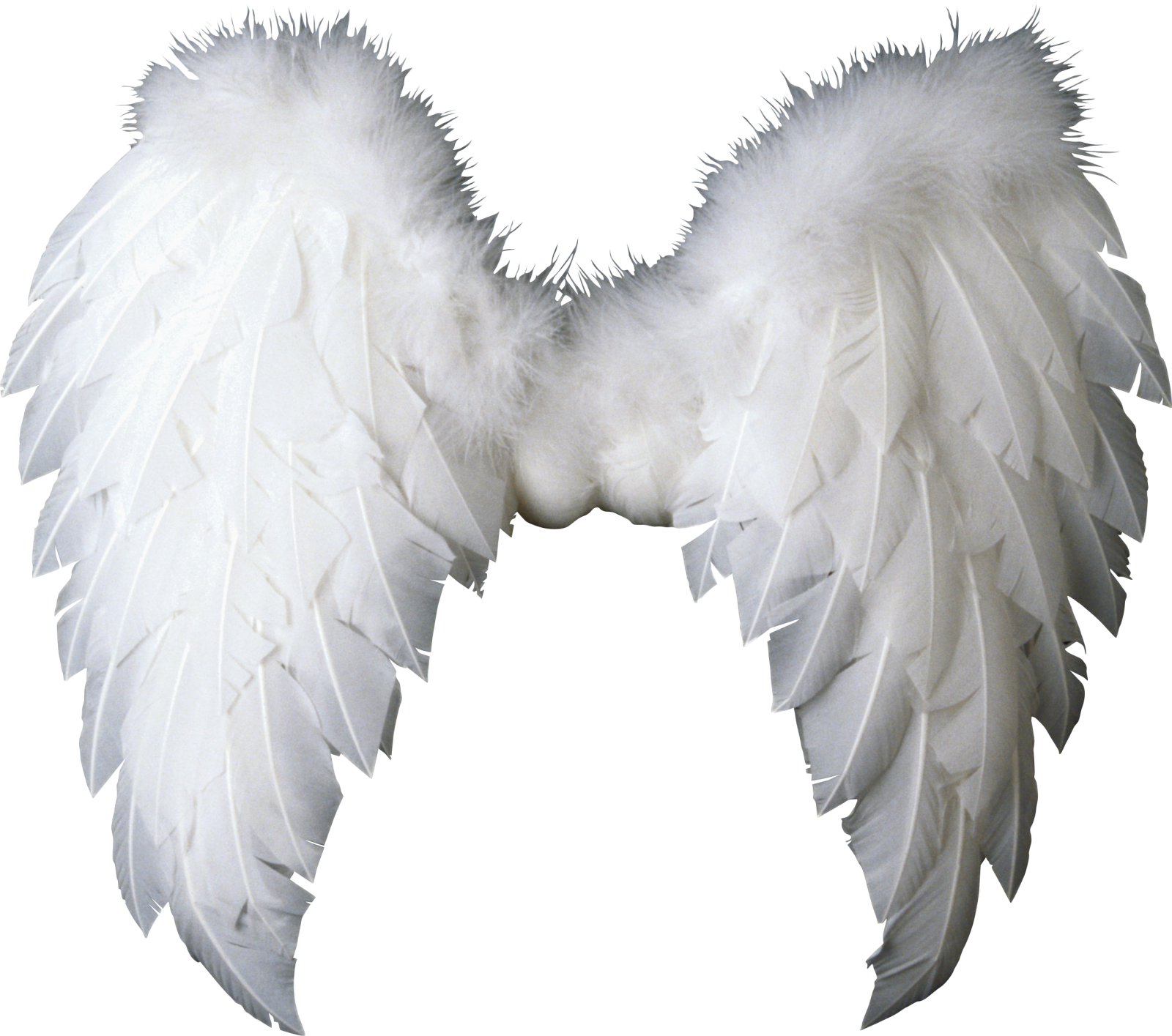 a pair of white wings on a white background