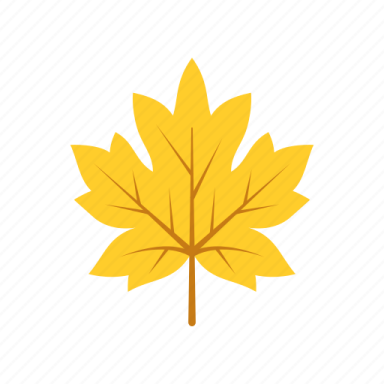 a yellow maple leaf