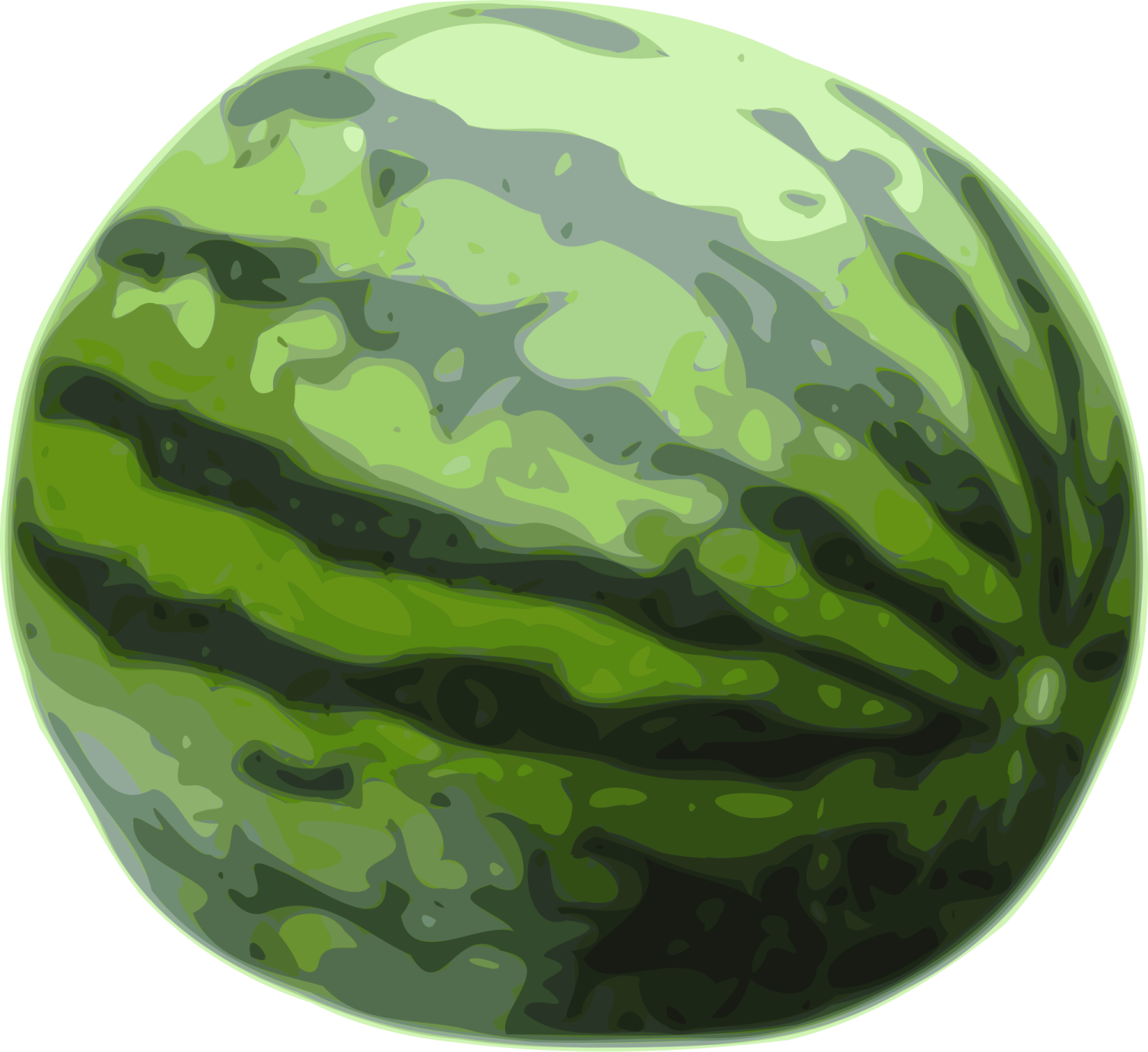a watermelon on a white background