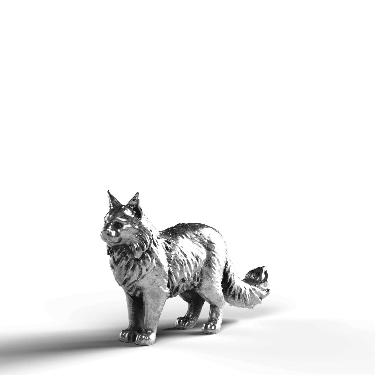 a black and white cat on a white background