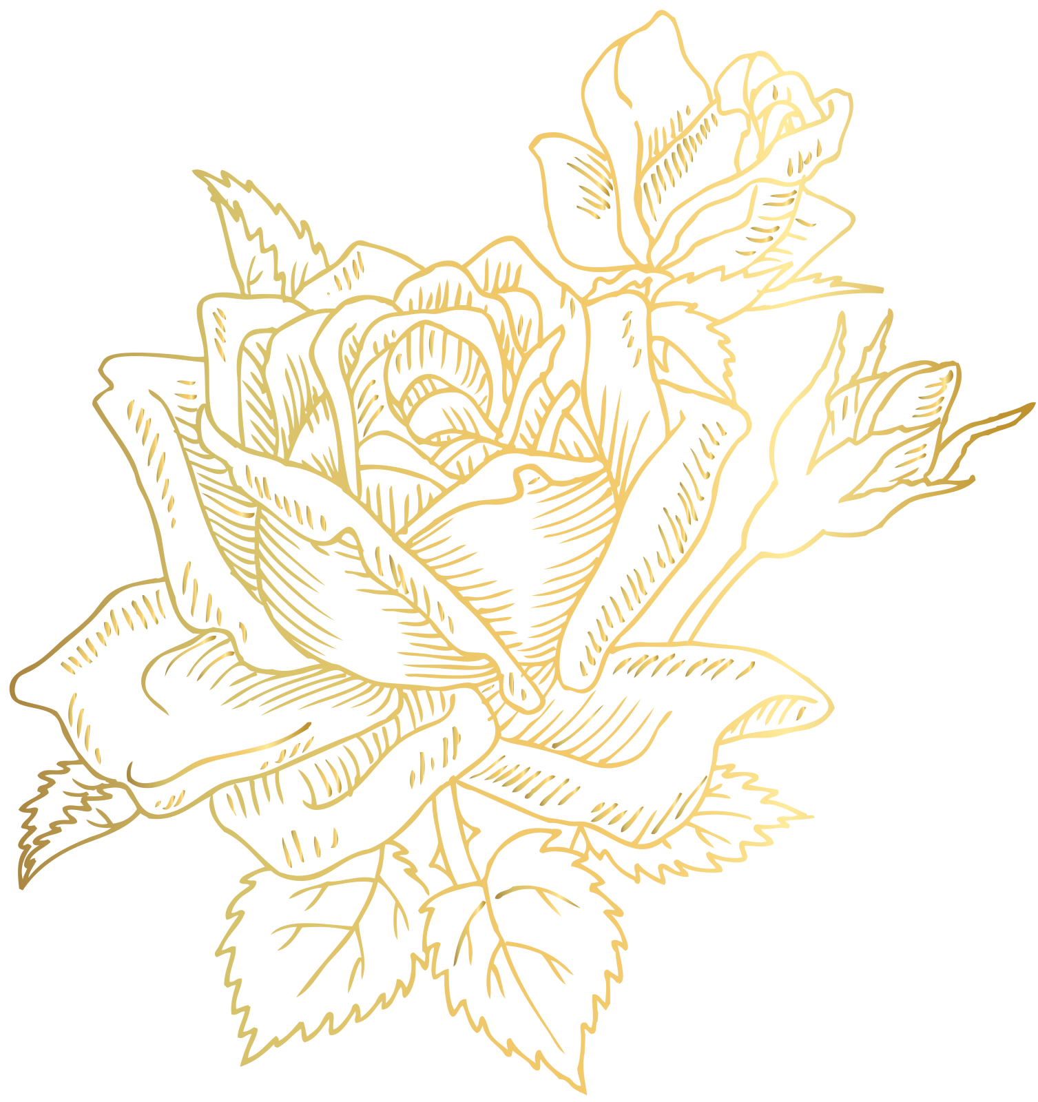 a gold rose on a white background
