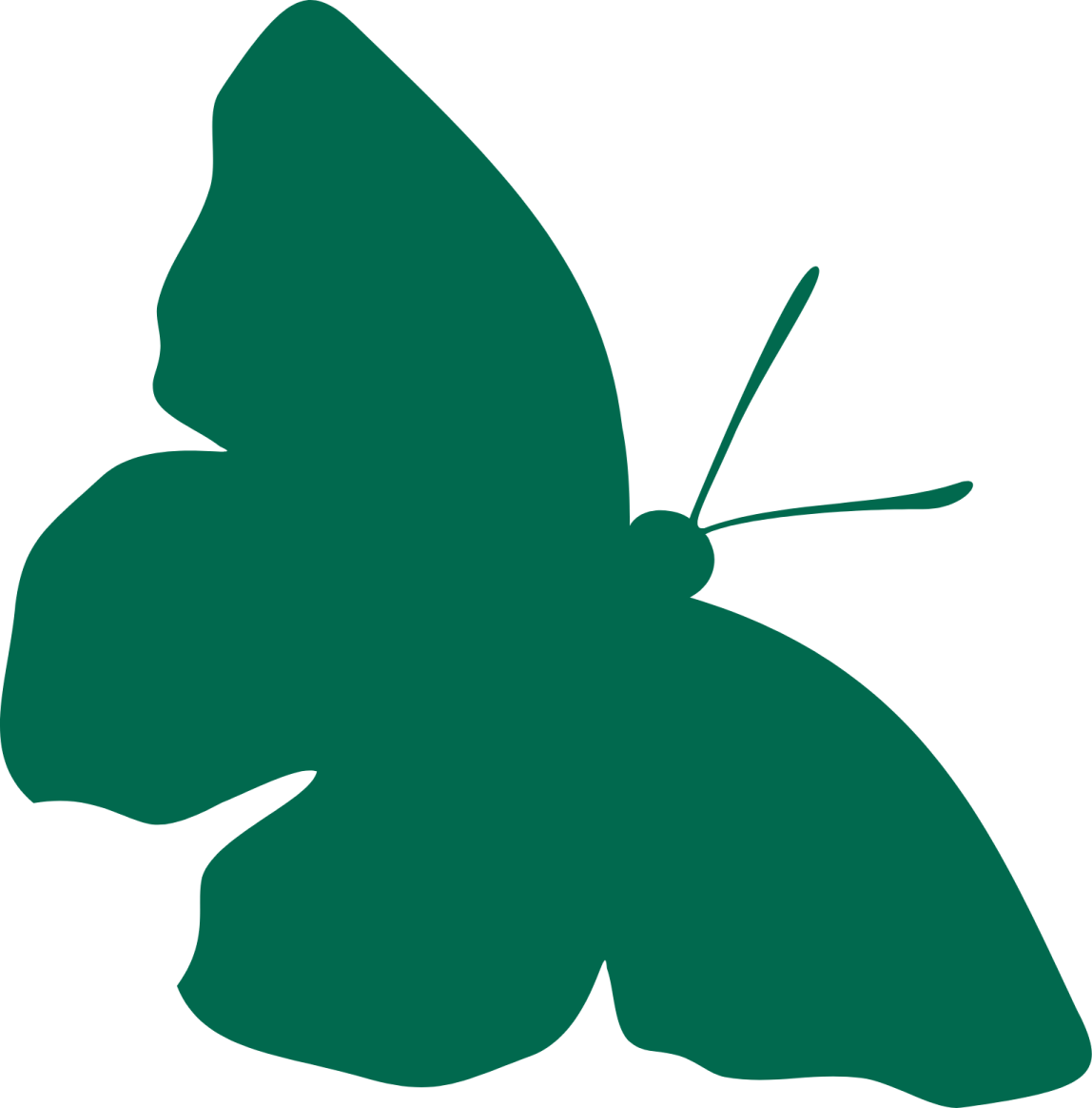 a green butterfly on a white background