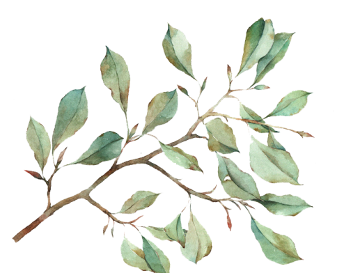 a watercolor painting of a branch with leaves