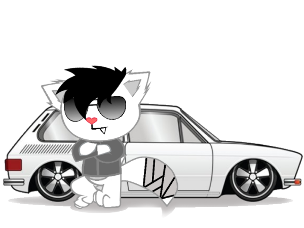 a white car with a black cat sitting on top of it
