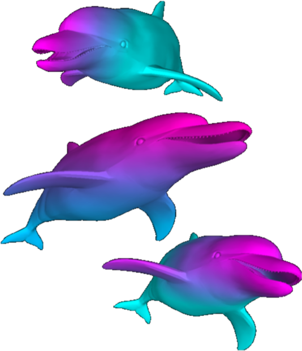 three dolphins in different colors