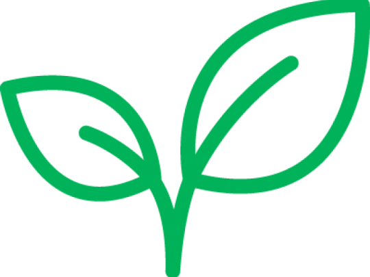 a green leaf with a white background