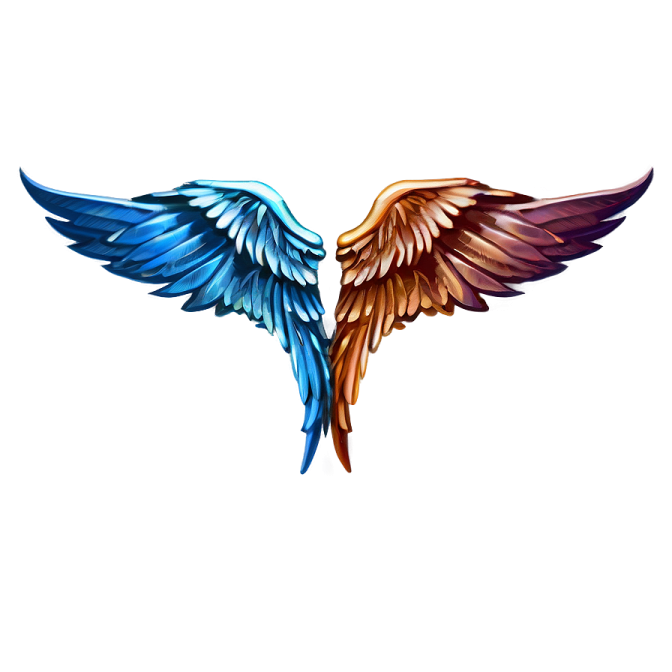a pair of wings on a white background