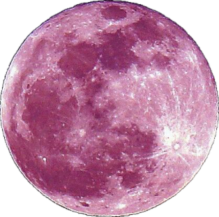 an image of the moon with a white background