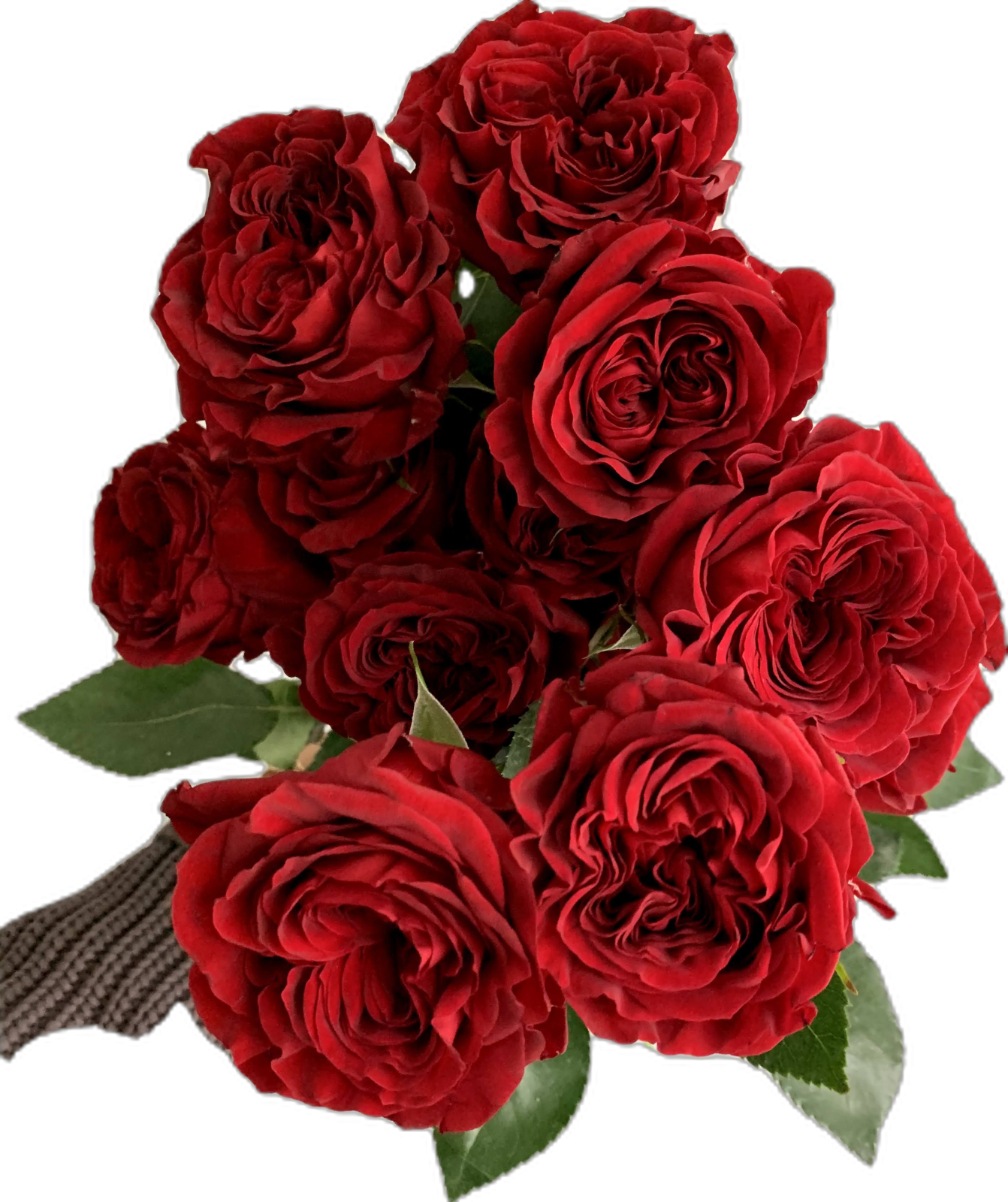 a bouquet of red roses