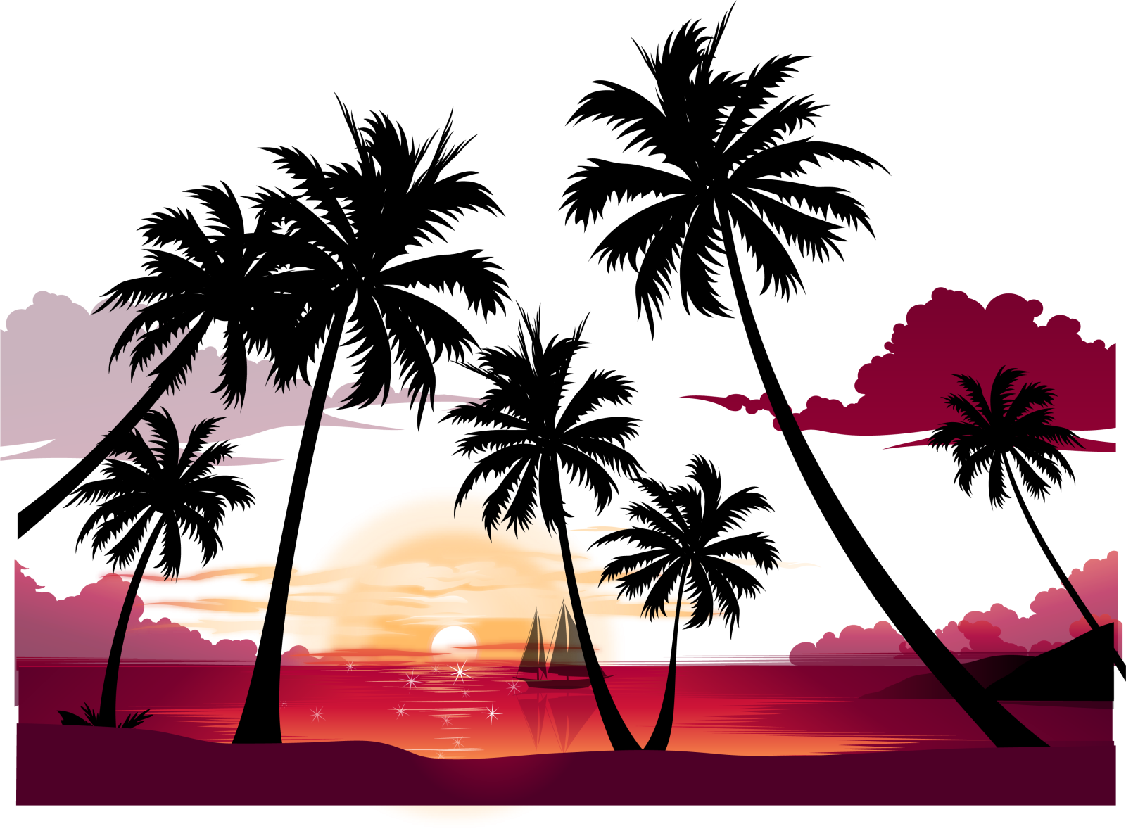 palm trees on the beach at sunset