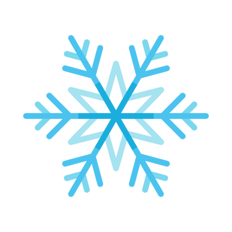 a snowflorer logo on a white background