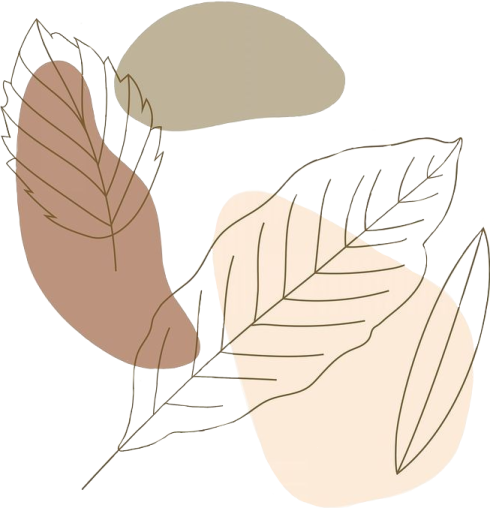 an illustration of a leaf