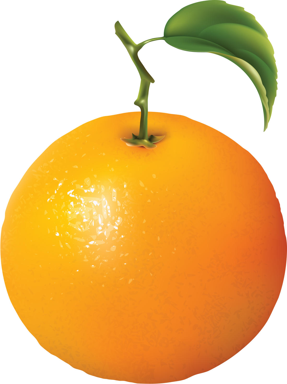 an orange with a green leaf on top