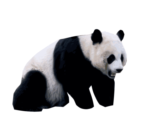a black and white panda bear