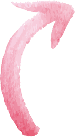 a pink feather on a white background