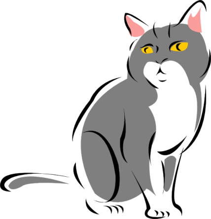 a gray cat with yellow eyes