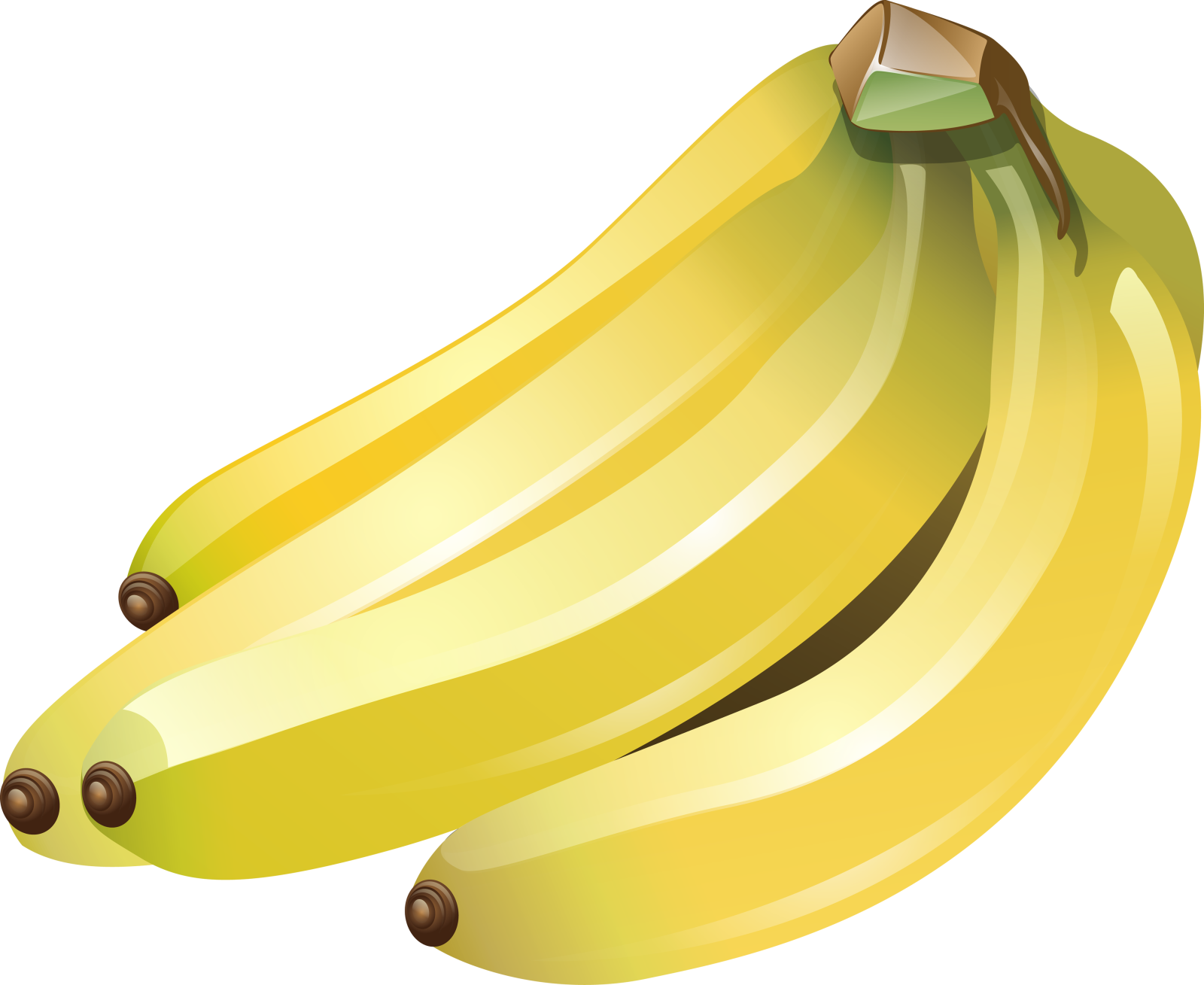 a bunch of bananas