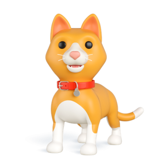 an orange and white cat with a red collar