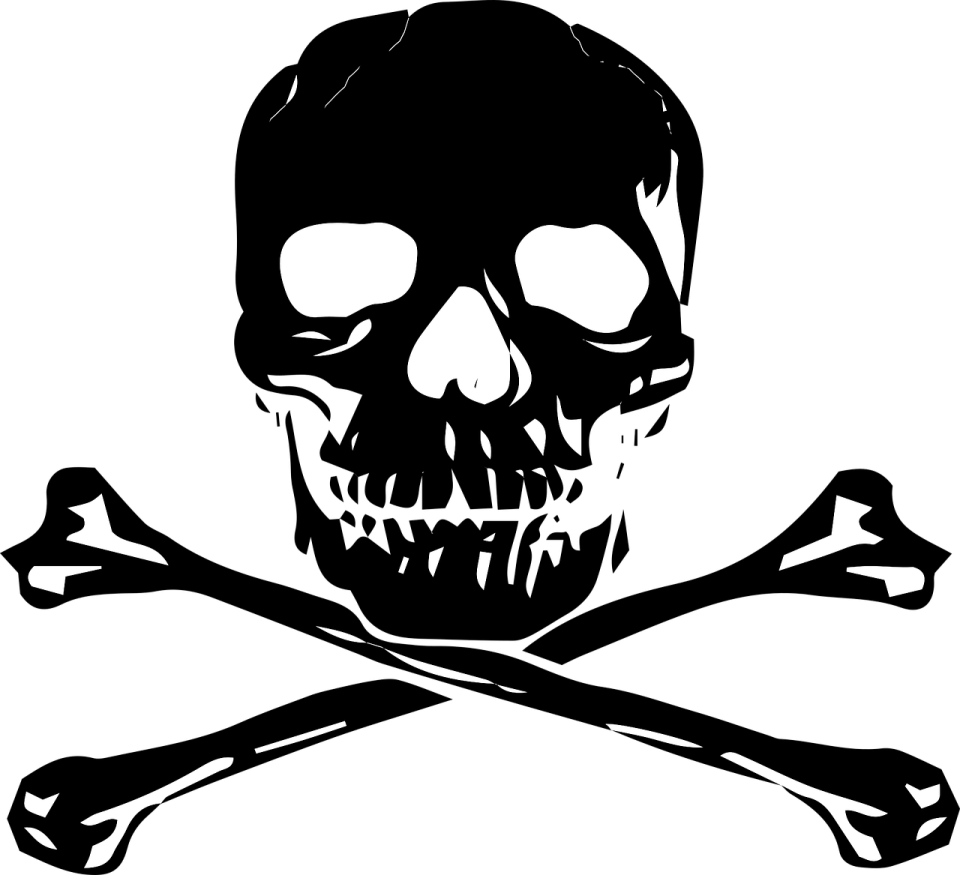 a skull and crossbones