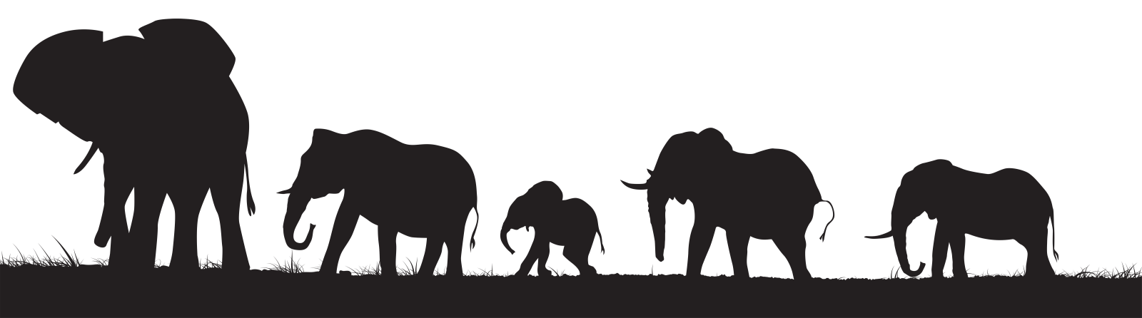 a family of elephants silhouetted against a white background