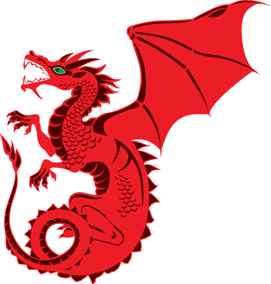 a red dragon on a white background