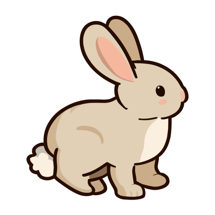 a white rabbit sitting on the ground