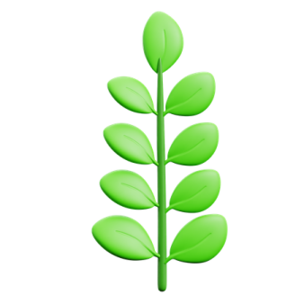 a green leaf on a white background