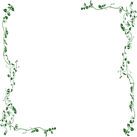 a frame with green leaves on it