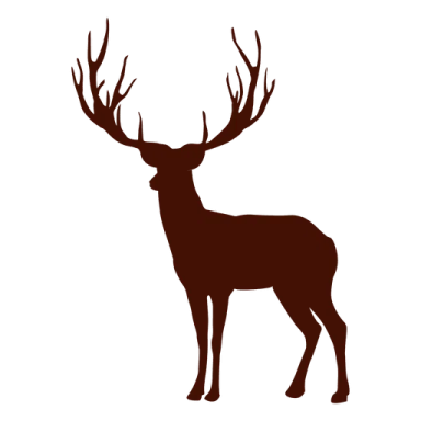 a deer silhouetted on a white background