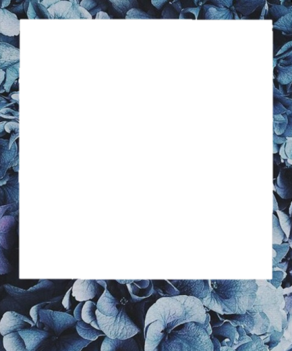 a frame with blue flowers on it