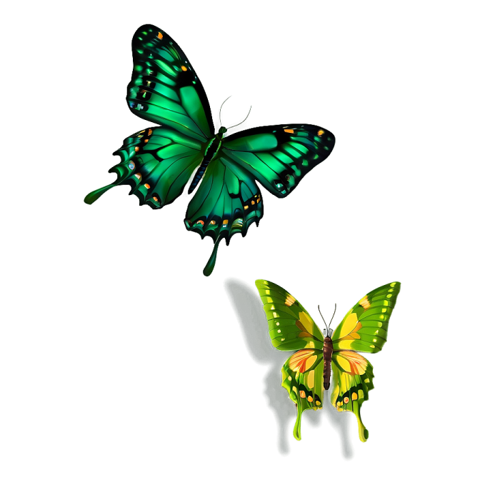 two green butterflies on a white background