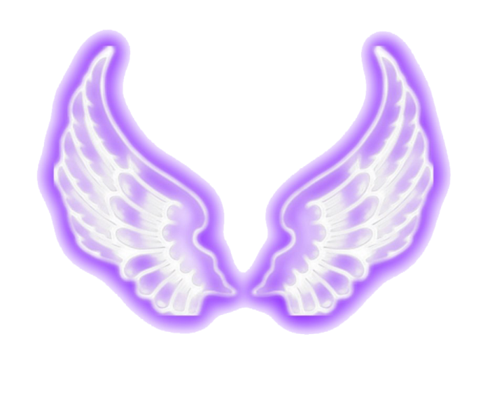 a pair of white wings on a white background