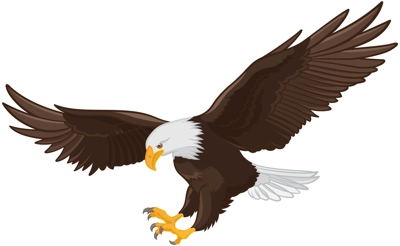 an eagle flying with its wings spread