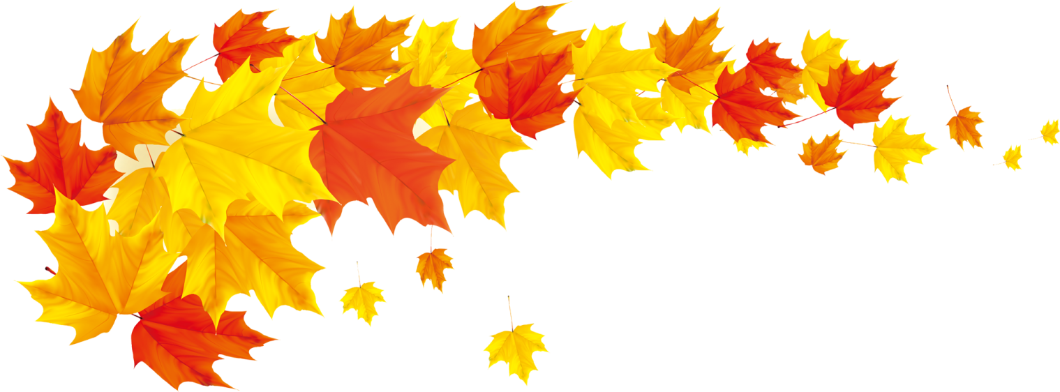 a bunch of colorful autumn leaves