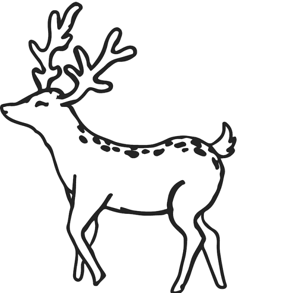 a black and white drawing of a deer