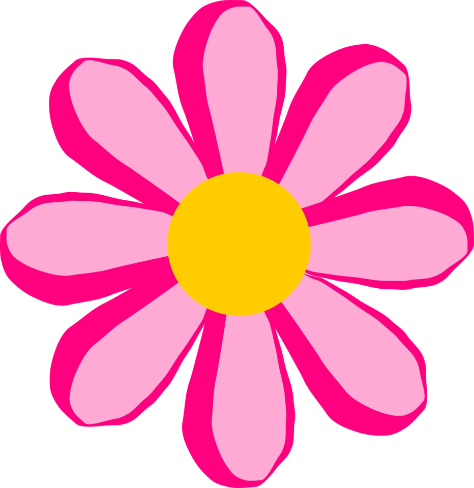 a pink flower with yellow center