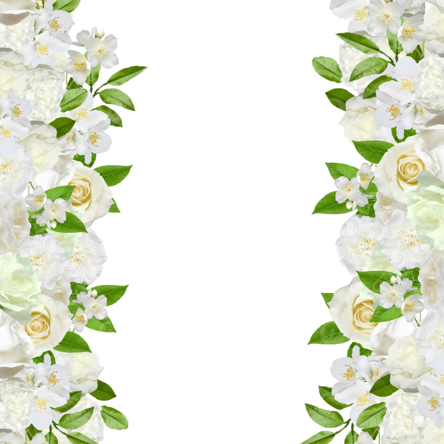 a white flower border with green leaves