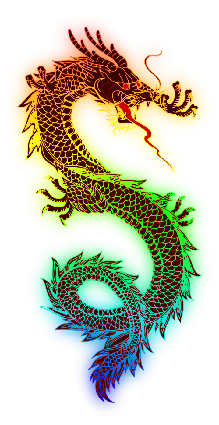 two dragon tattoos on white background