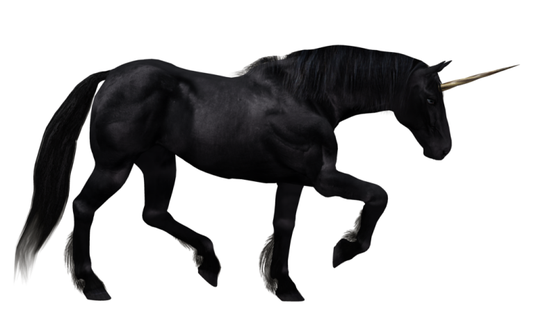 a black unicorn standing on its hinds