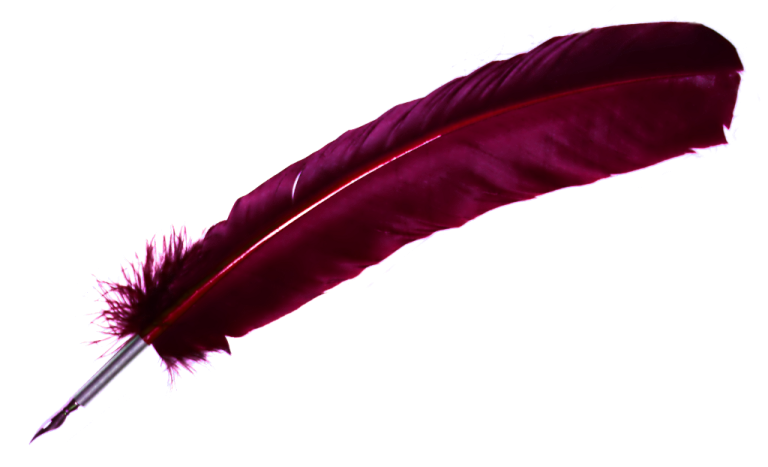 a red feather on a white background