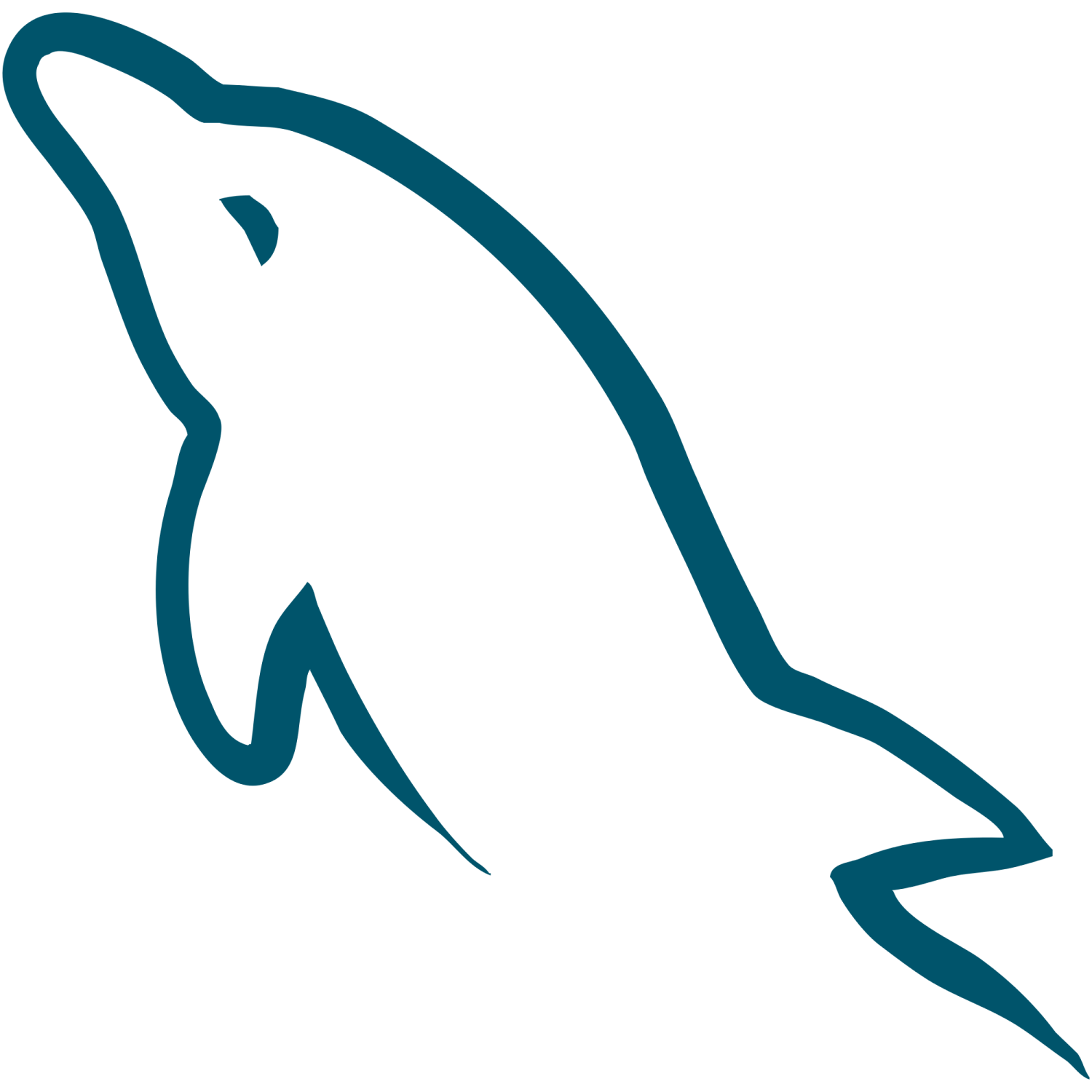 a dolphin with its mouth open