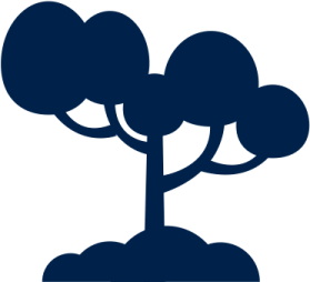a tree in the middle of a white background