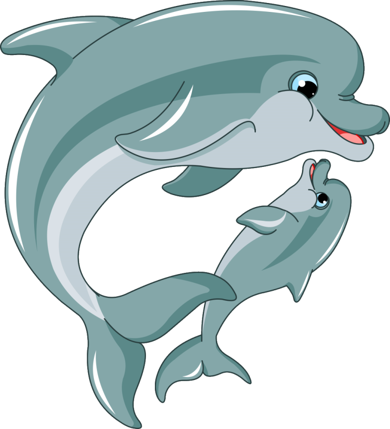 a dolphin and her baby