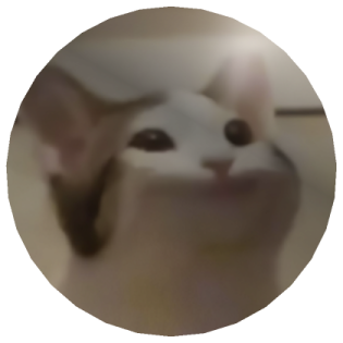 a close up of a cat's face in a circle